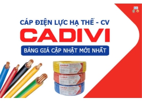 CADIVI